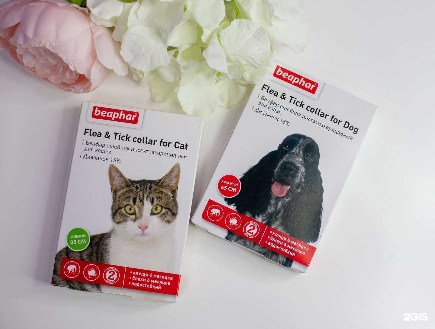 Отзывы на компанию Балто в Новосибирске c фото