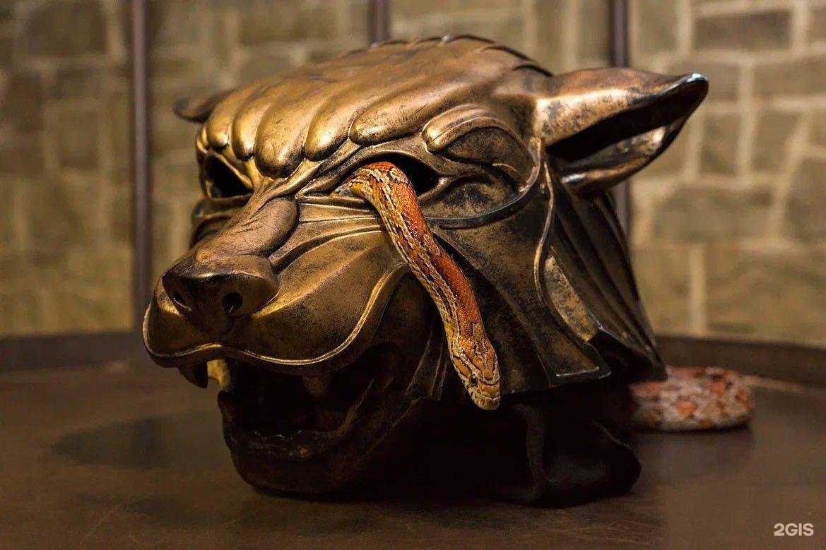 Отзывы на компанию Квест-шоу в г. Новороссийск c фото