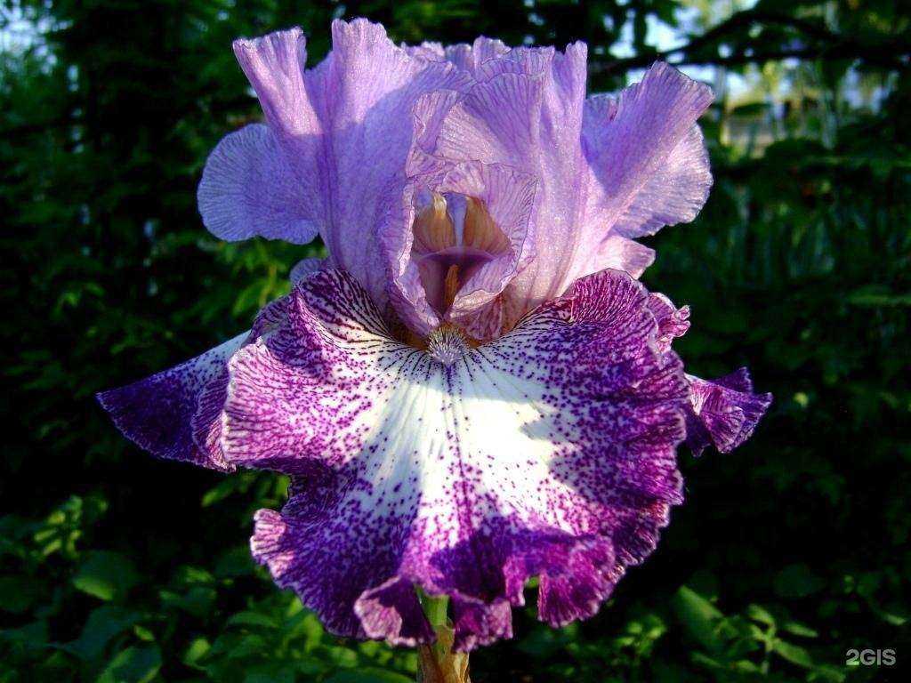 Отзывы на компанию Солнечный в г. Уфа c фото