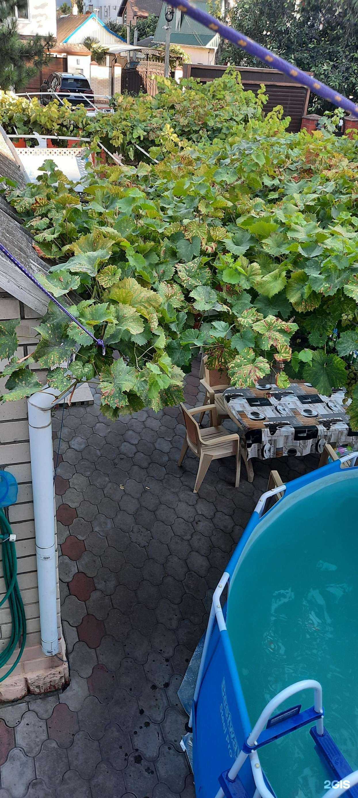 Отзывы на компанию Алена в г. Анапа c фото