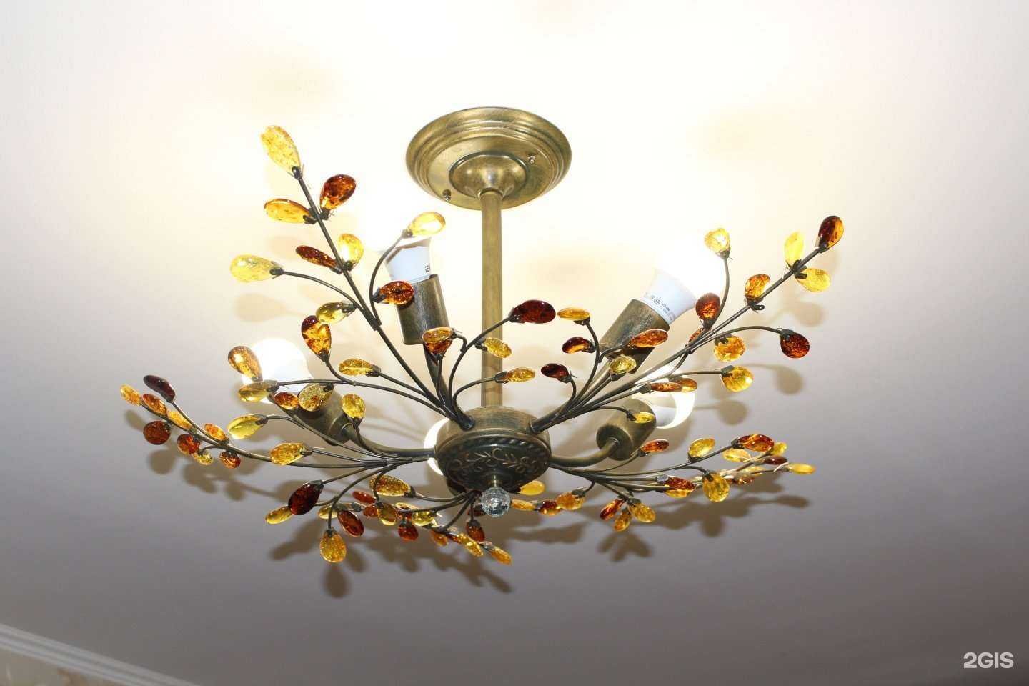 Отзывы на компанию 50 миллионов лет в г. Калининград c фото