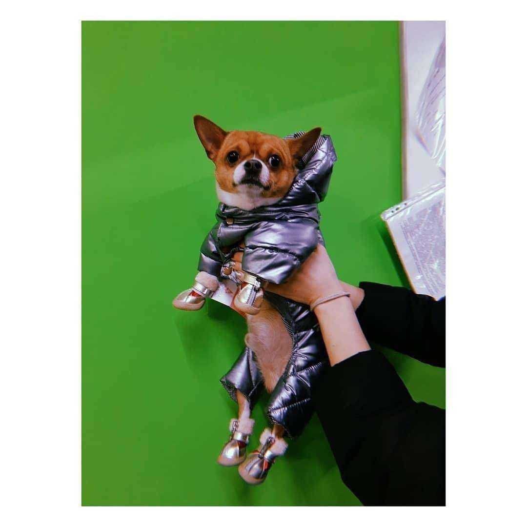 Отзывы на компанию Ля-муррр в Саранске c фото