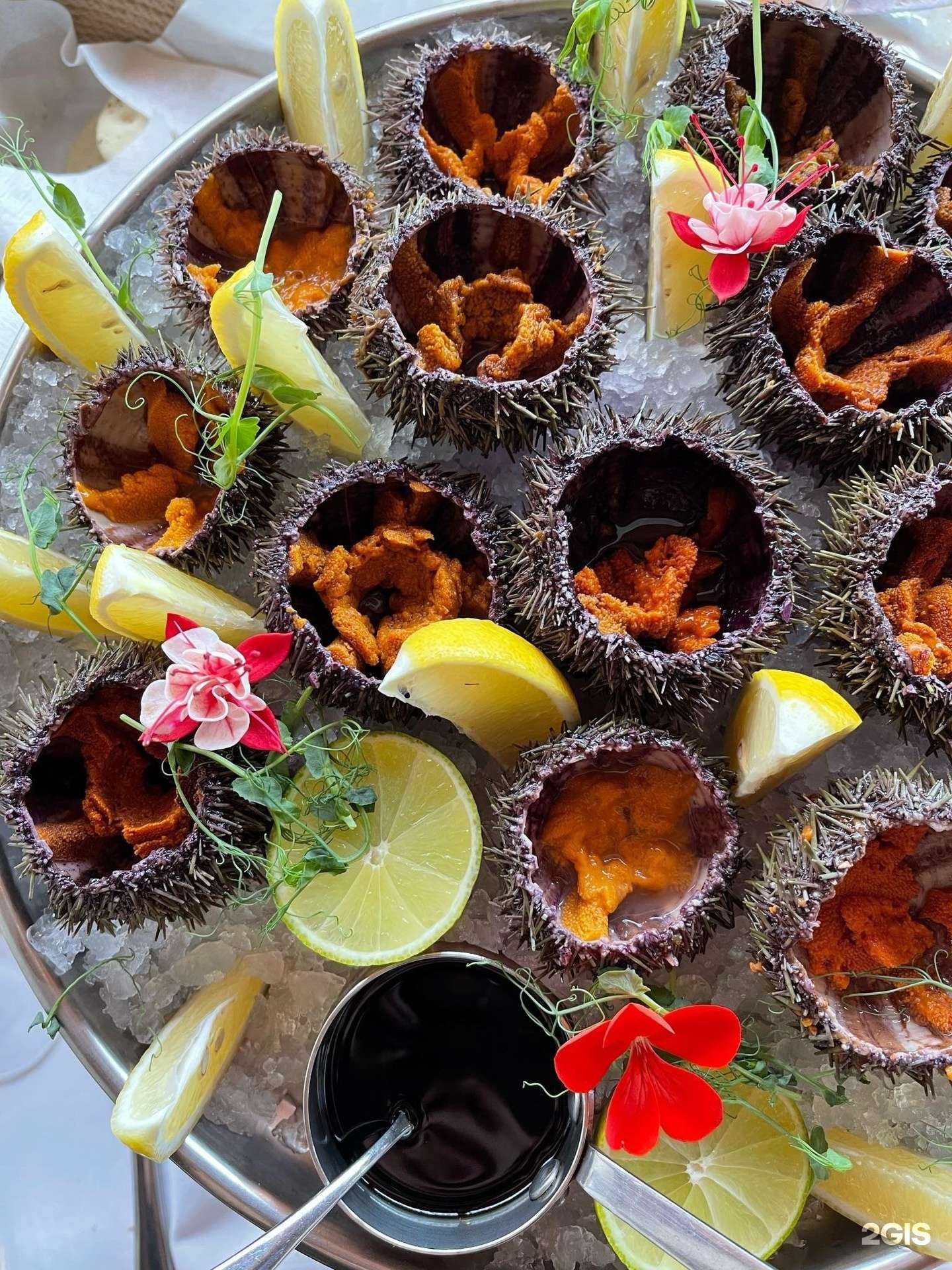 Отзывы на компанию Del mare в Уфе c фото