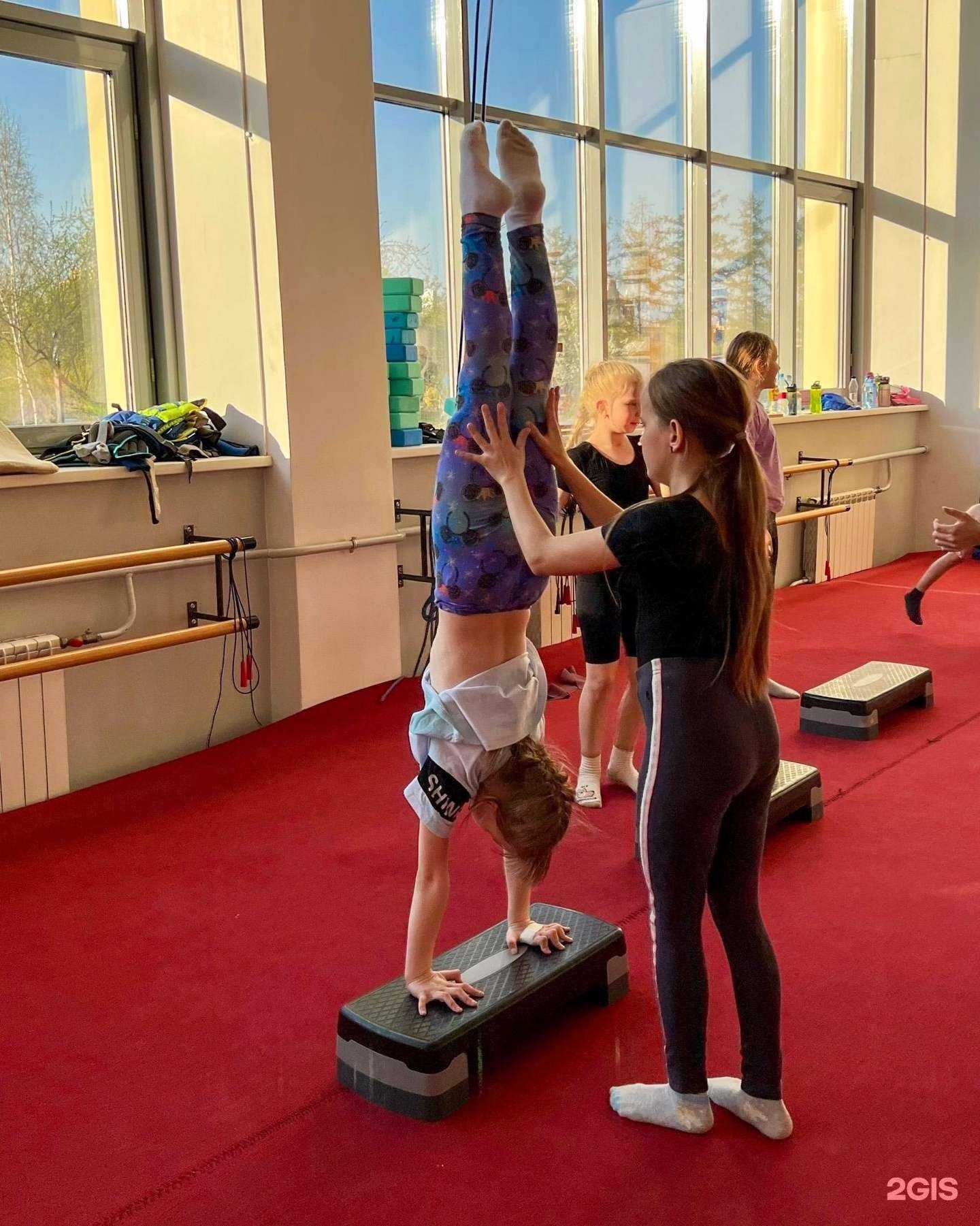 Отзывы на компанию Acrosport в Красноярске c фото