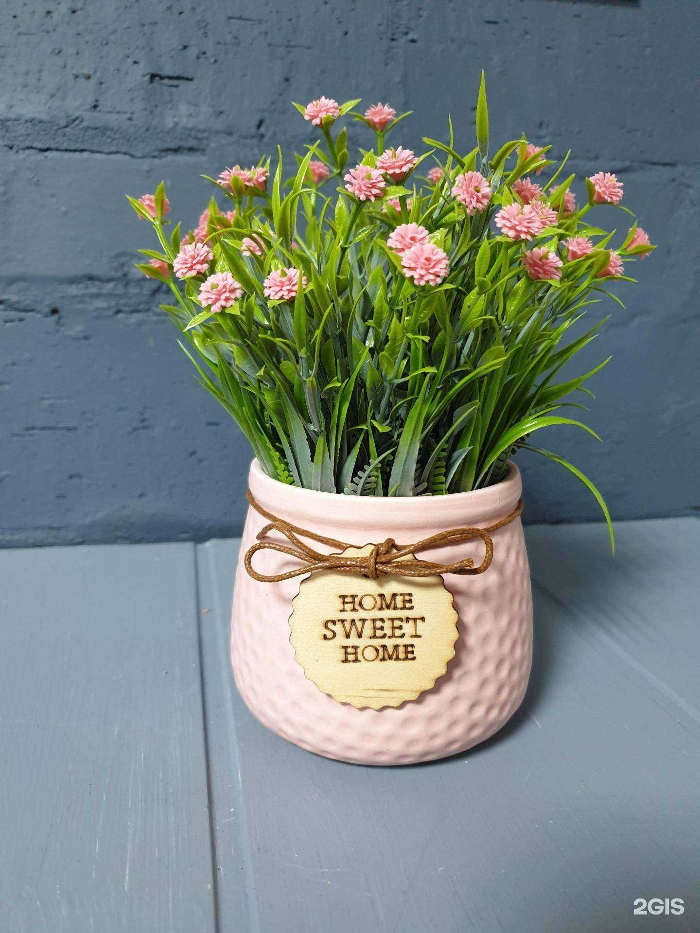 Отзывы на компанию Кактус в Ставрополе c фото