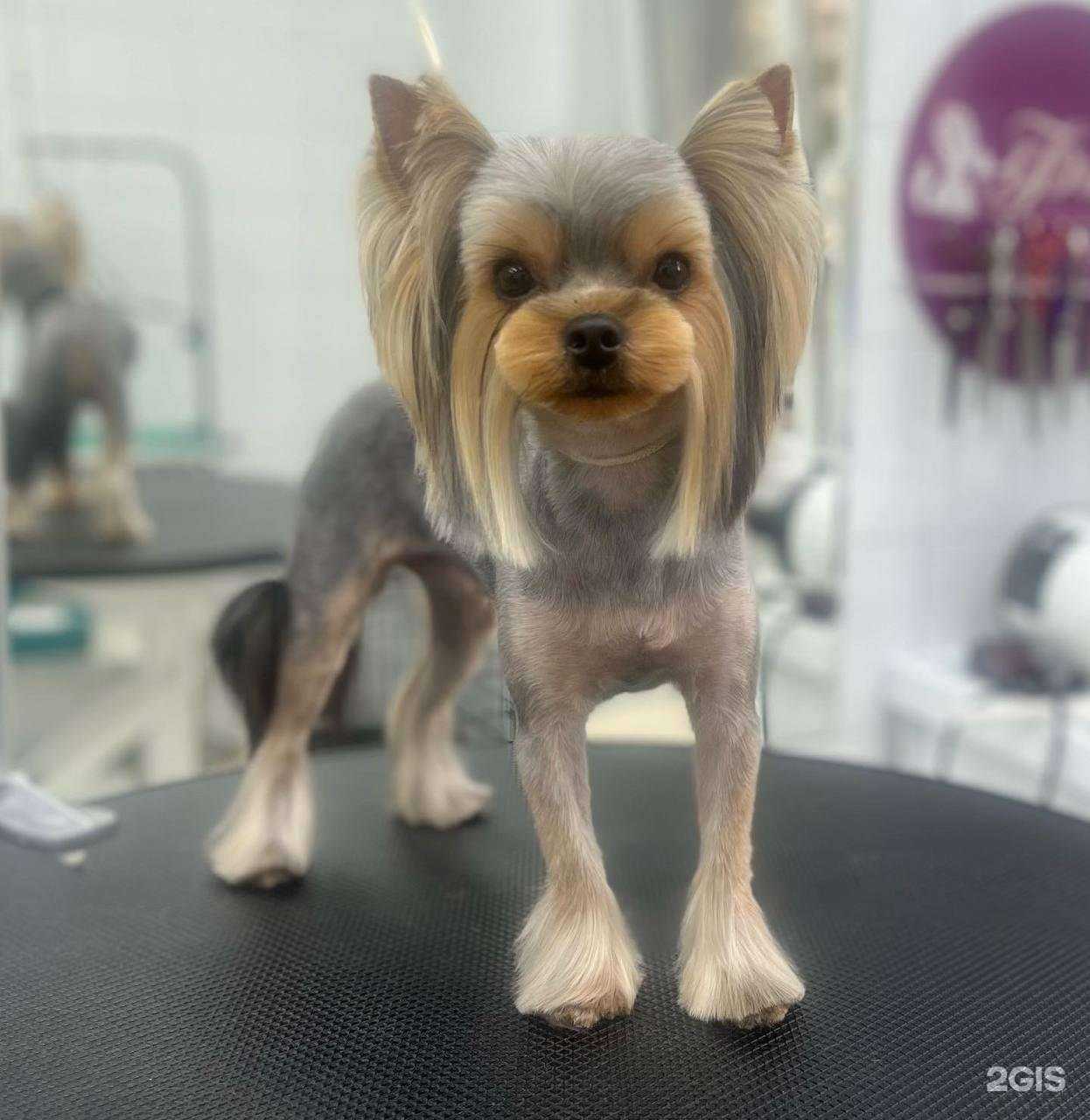 Отзывы на компанию Фифа в г. Краснодар c фото