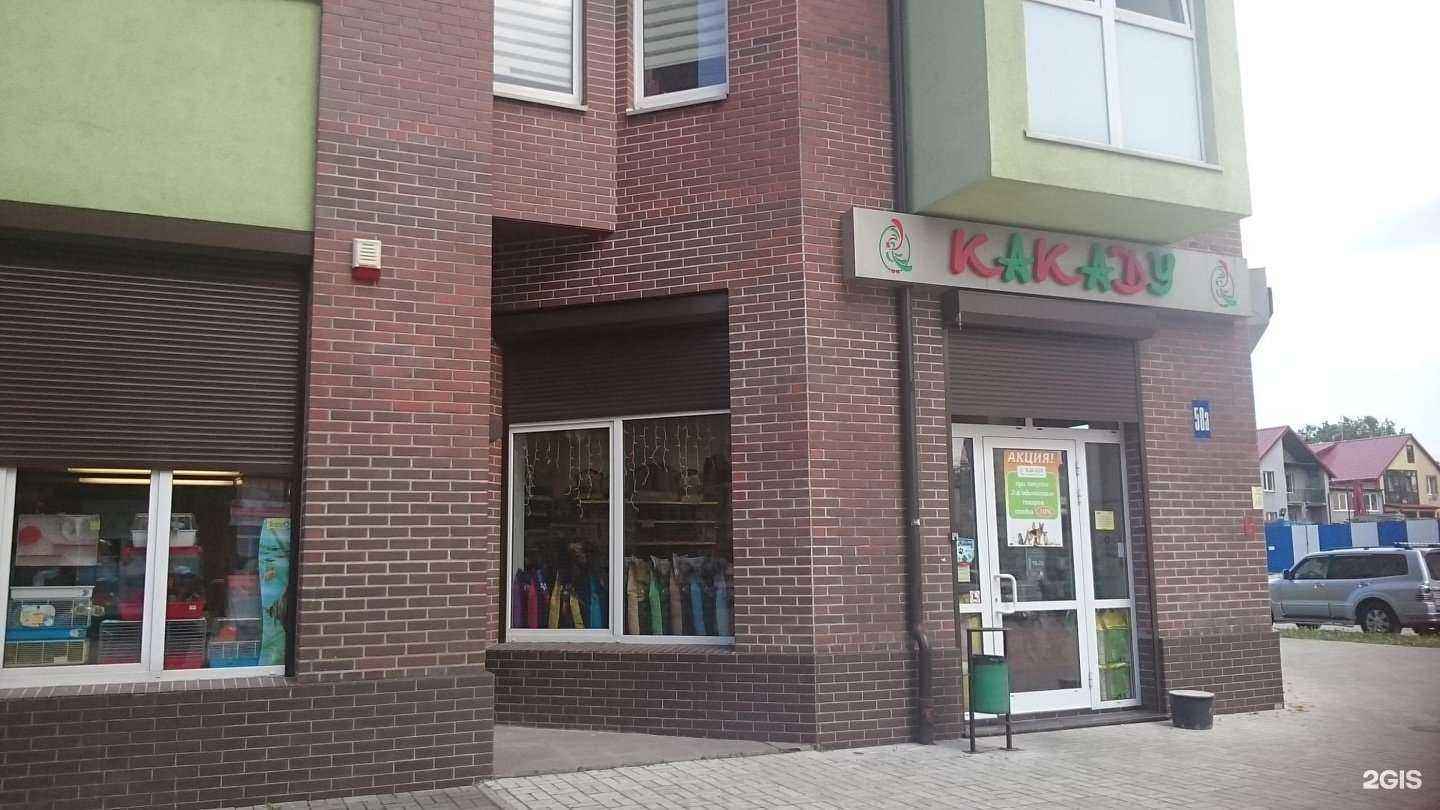Отзывы на компанию Какаду в г. Калининград c фото