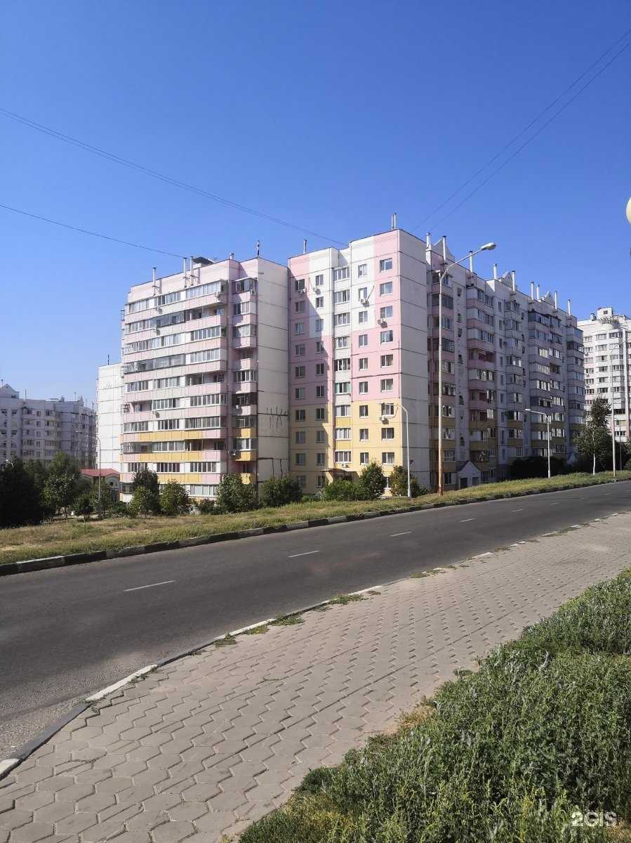 Отзывы на компанию Студия груминга в Белгороде c фото - фотография 2 из 2