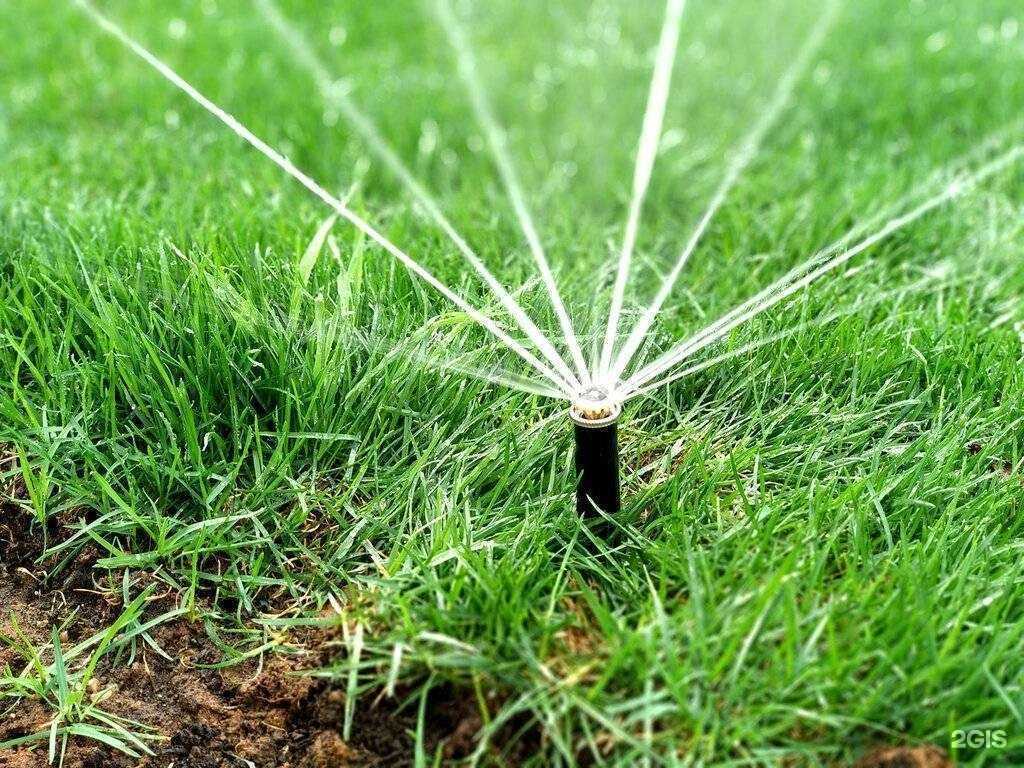 Отзывы на компанию 1 Студия Полива в г. Пятигорск c фото