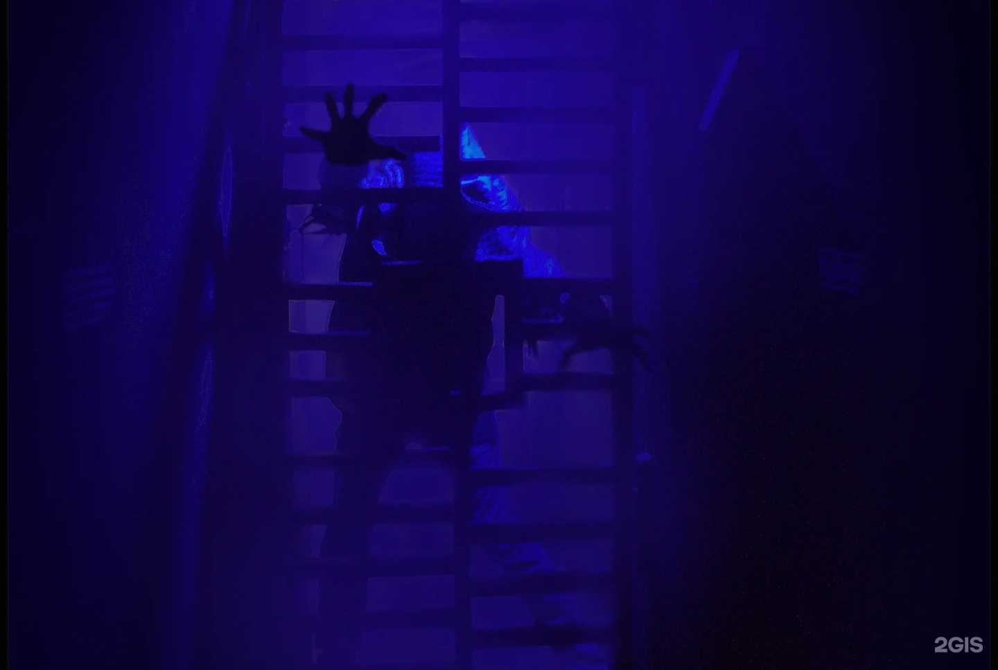 Отзывы на компанию Истории мистера Хампа в г. Томск c фото