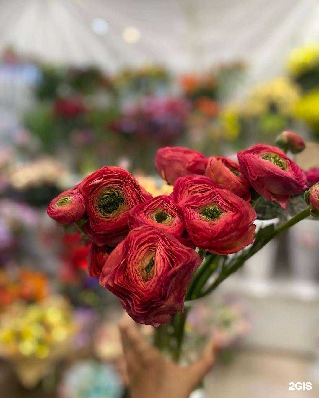 Отзывы на компанию Магазин цветов и подарков в г. Химки c фото