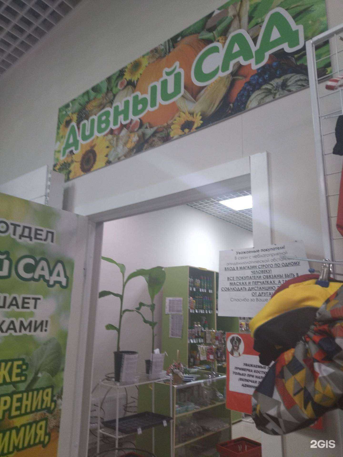 Отзывы на компанию Дивный сад в г. Кстово c фото