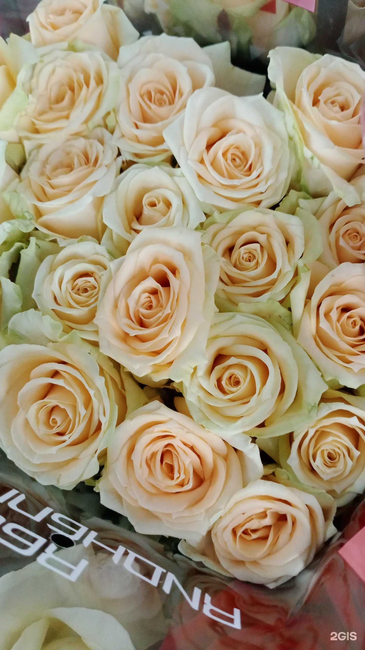 Отзывы на компанию Твой подарок в Геленджике c фото