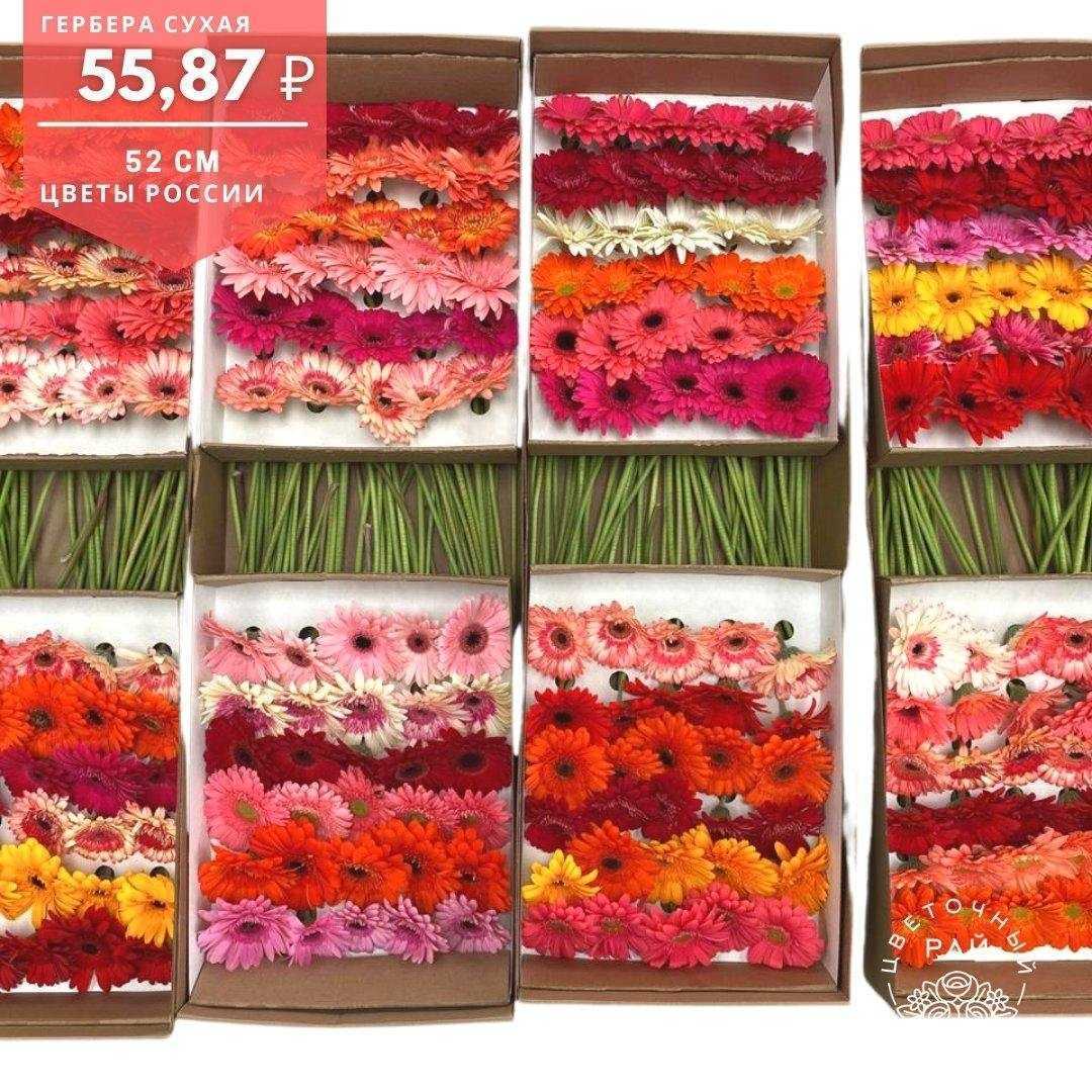 Отзывы на компанию Цветочный рай в Ижевске c фото