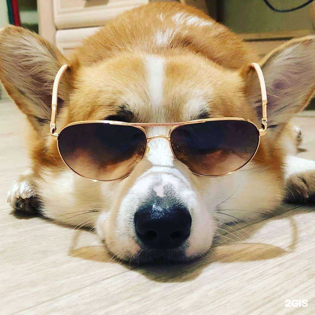 Отзывы на компанию Федерация джиу-джитсу Оренбургской области в Оренбурге c фото