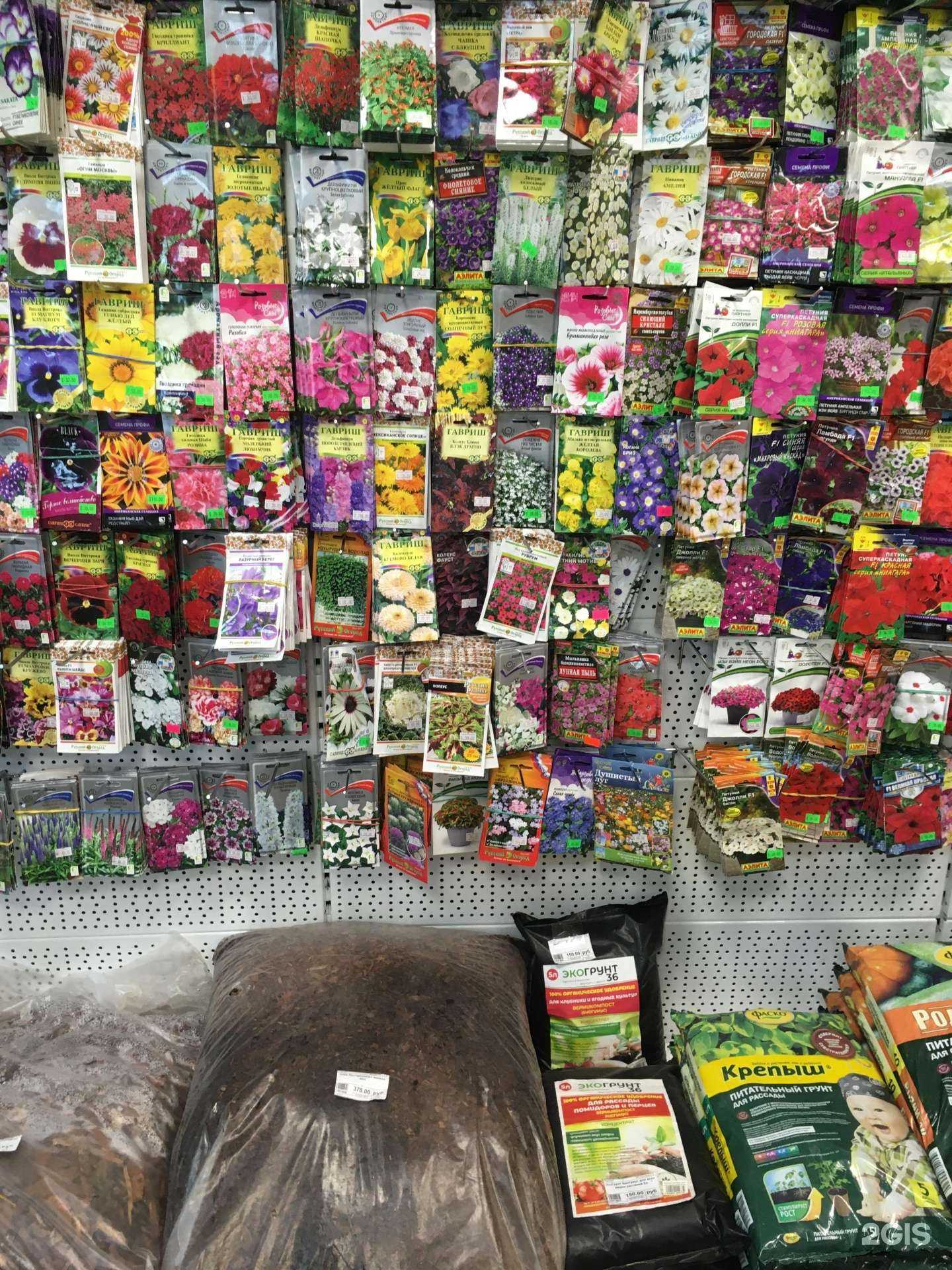 Отзывы на компанию Парус в Воронеже c фото