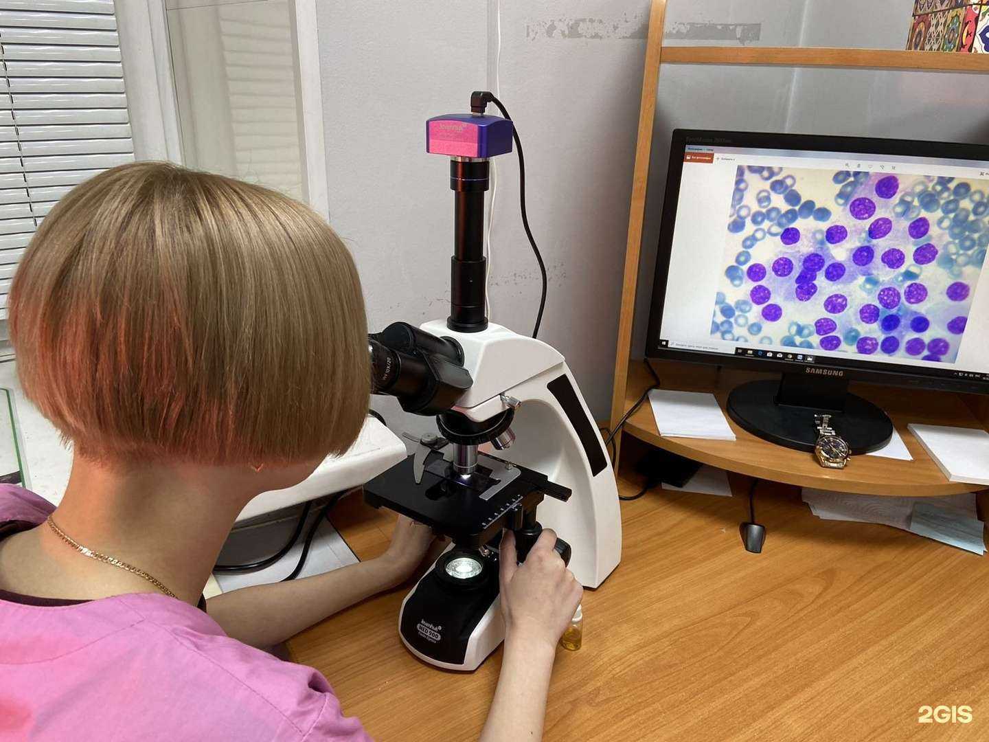 Отзывы на компанию ВетДиаКур в Абакане c фото