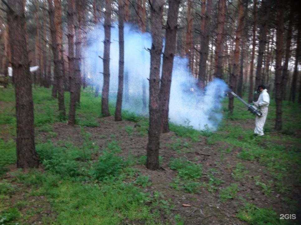 Отзывы на компанию ДезКлинер в г. Волгоград c фото