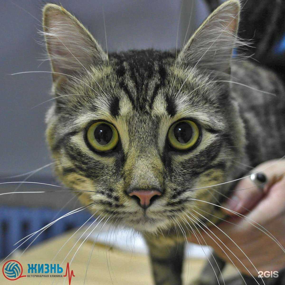 Отзывы на компанию Жизнь в г. Калуга c фото