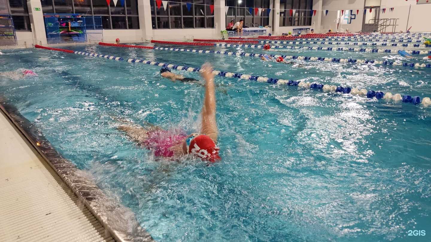 Отзывы на компанию Shark Kick в г. Геленджик c фото