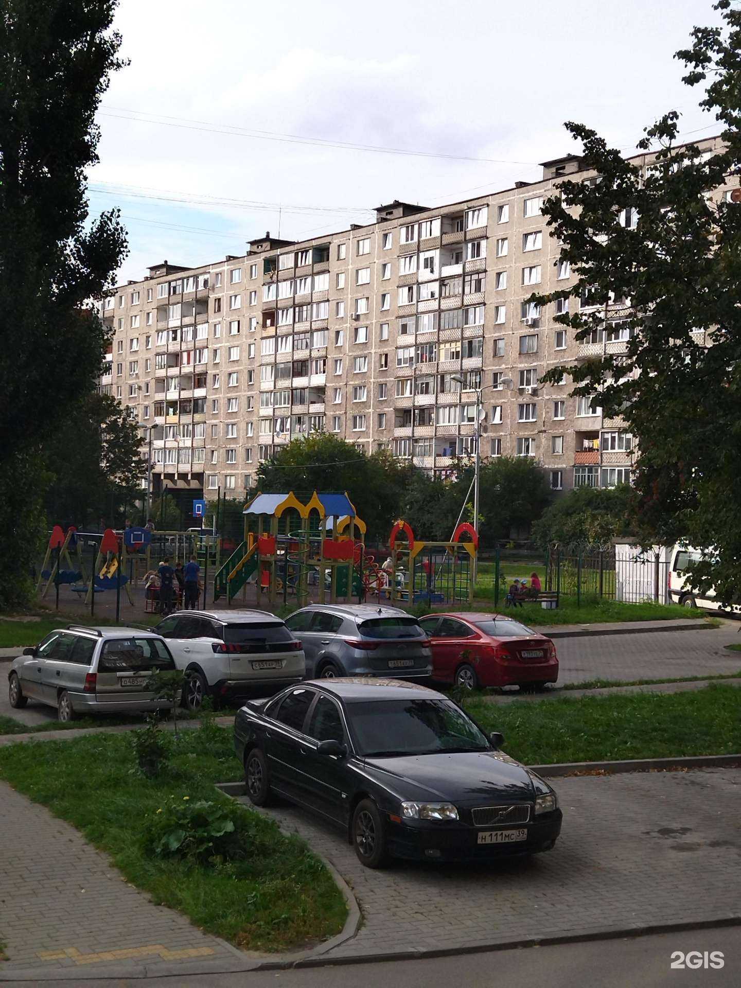 Отзывы на компанию Prime lingua в Калининграде c фото - фотография 2 из 2