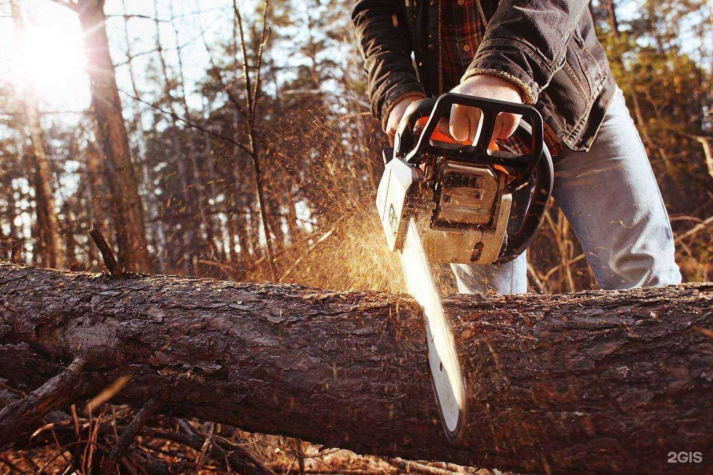 Отзывы на компанию Эталон в Липецке c фото