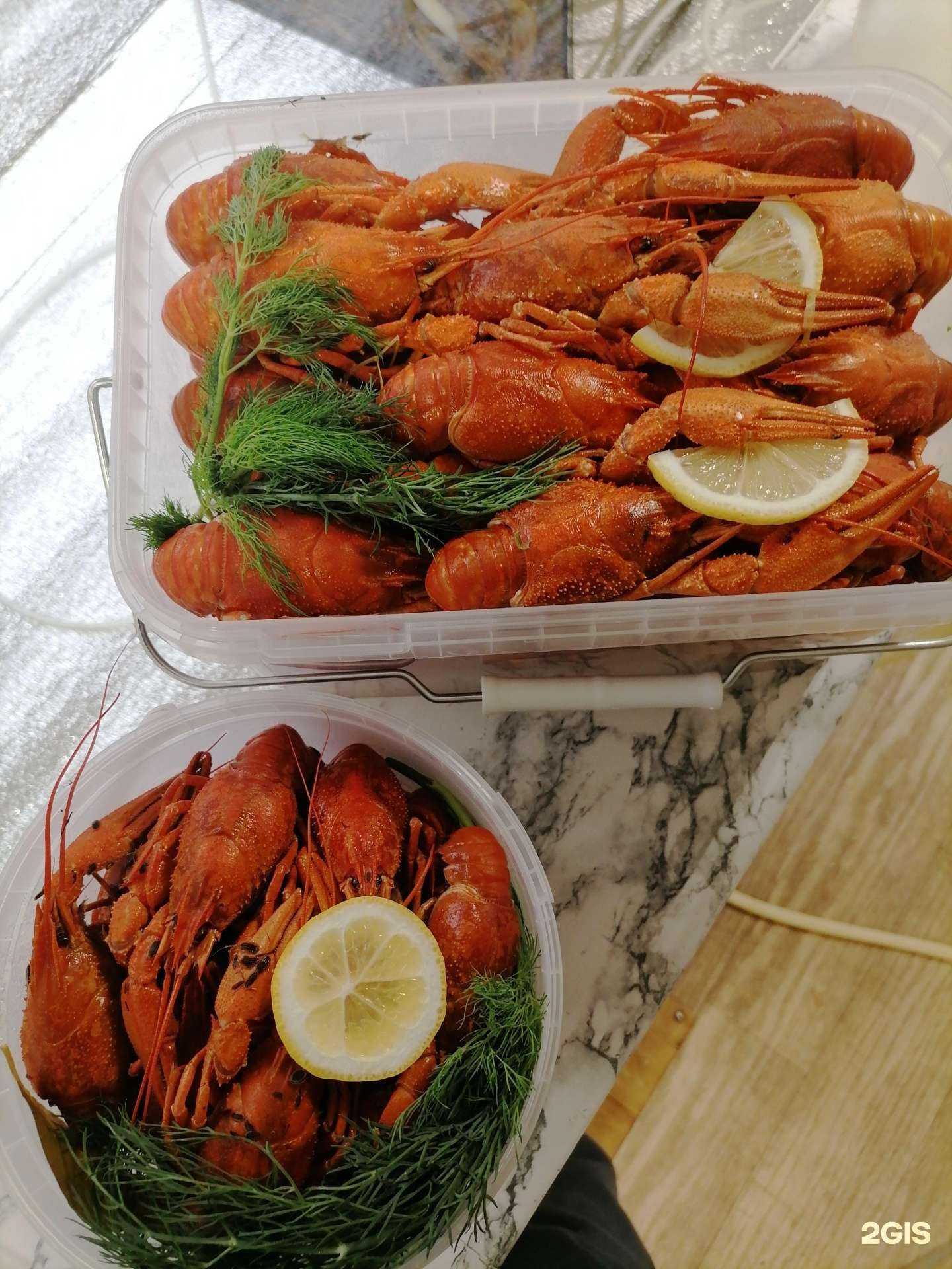 Отзывы на компанию Волжские раки в г. Самара c фото