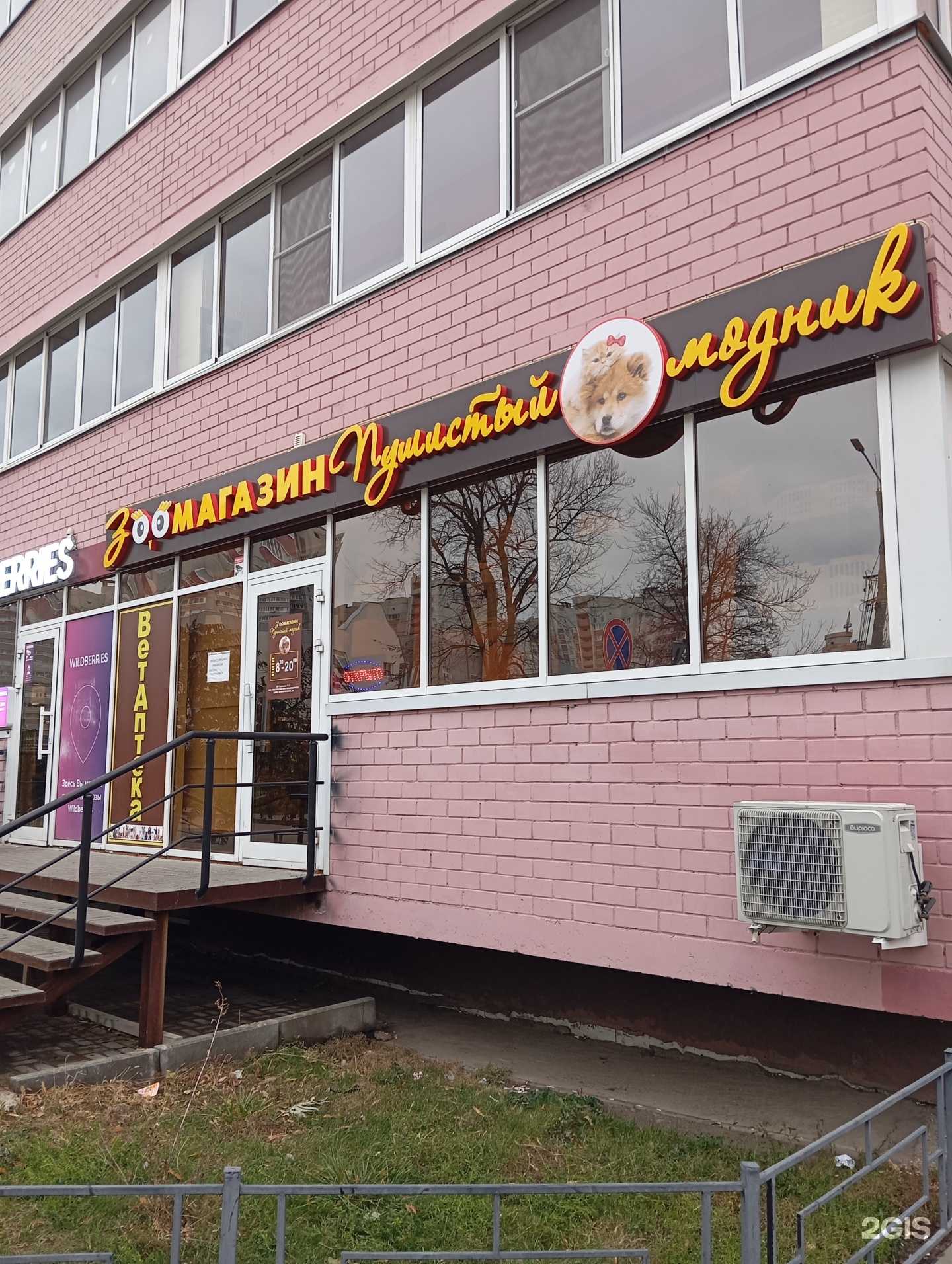 Отзывы на компанию Пушистый модник в г. Воронеж c фото