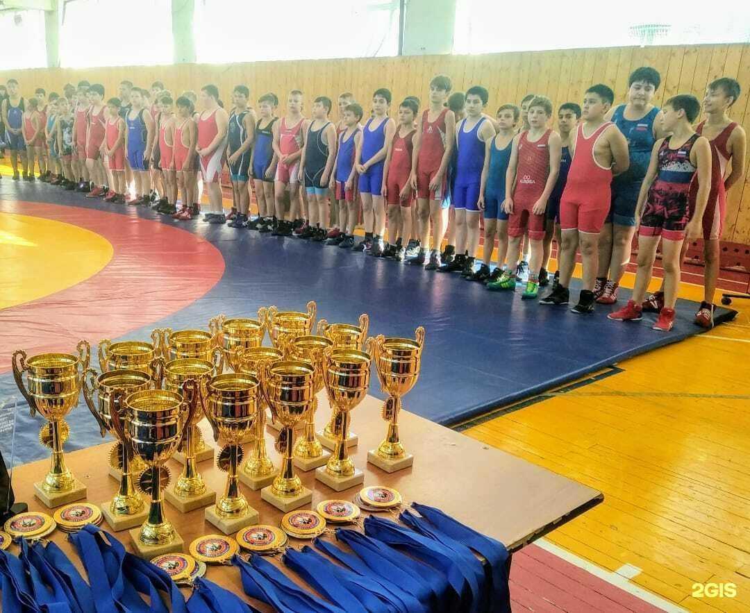 Отзывы на компанию СШОР по единоборствам Электросталь в Электростали c фото