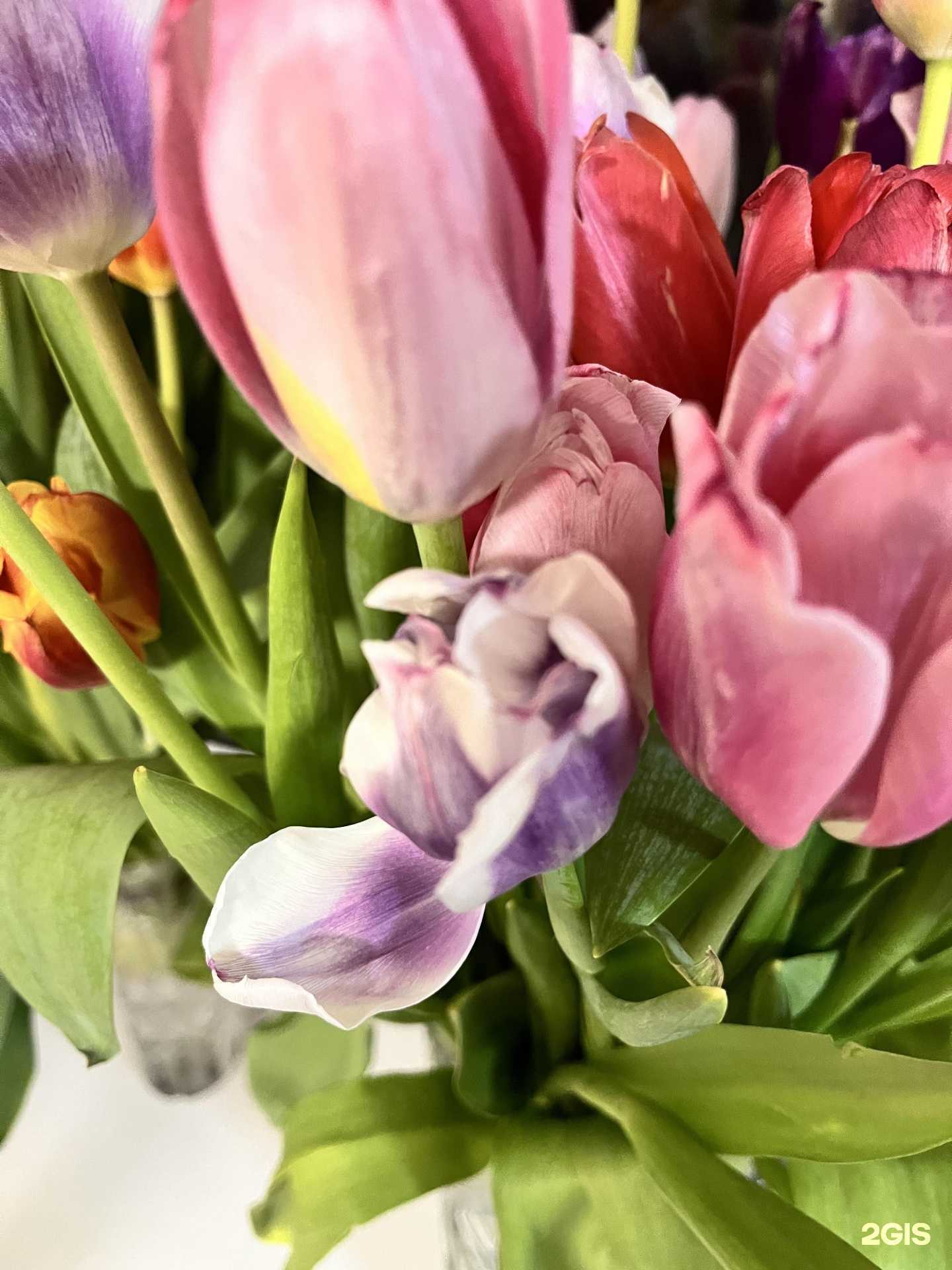 Отзывы на компанию Флоренция в Лениногорске c фото