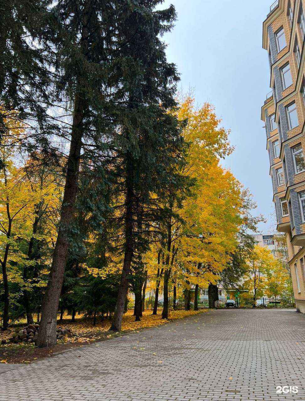 Отзывы на компанию Luxio в г. Конаково c фото