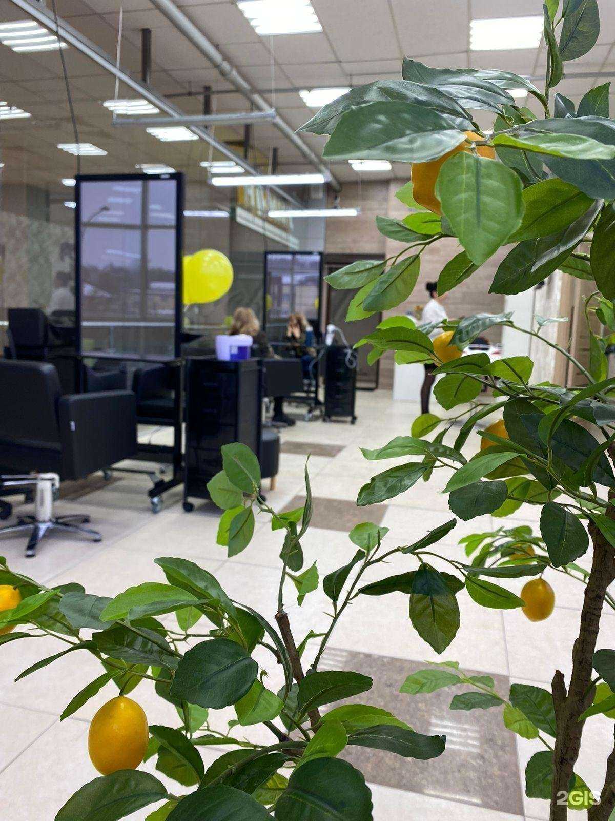 Отзывы на компанию Лимон в Липецке c фото