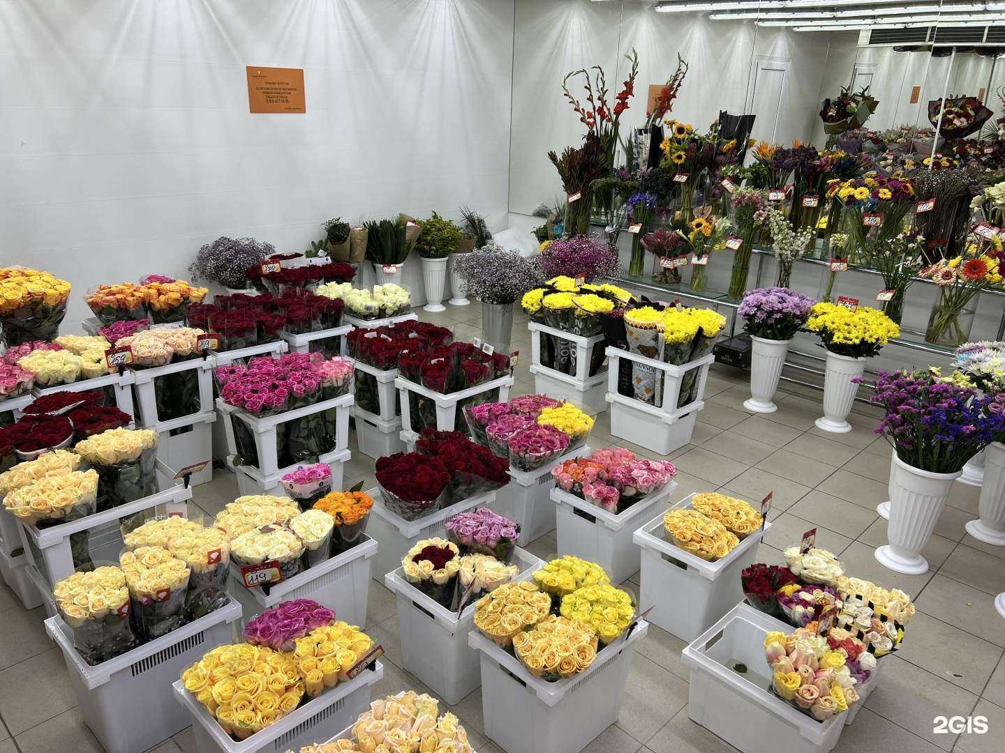 Отзывы на компанию Городская база цветов в г. Ивантеевка c фото