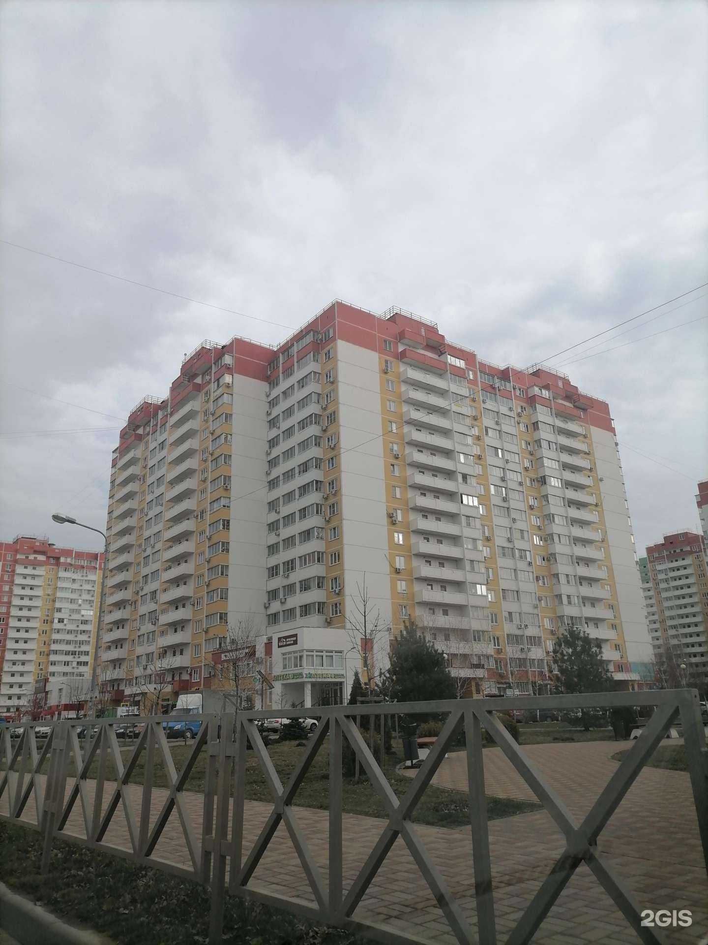 Отзывы на компанию Кото-пес в Краснодаре c фото - фотография 2 из 2