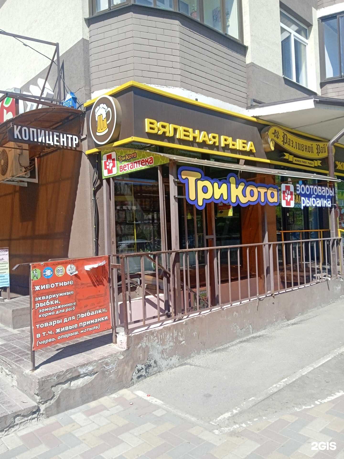 Отзывы на компанию Три кота в г. Воронеж c фото