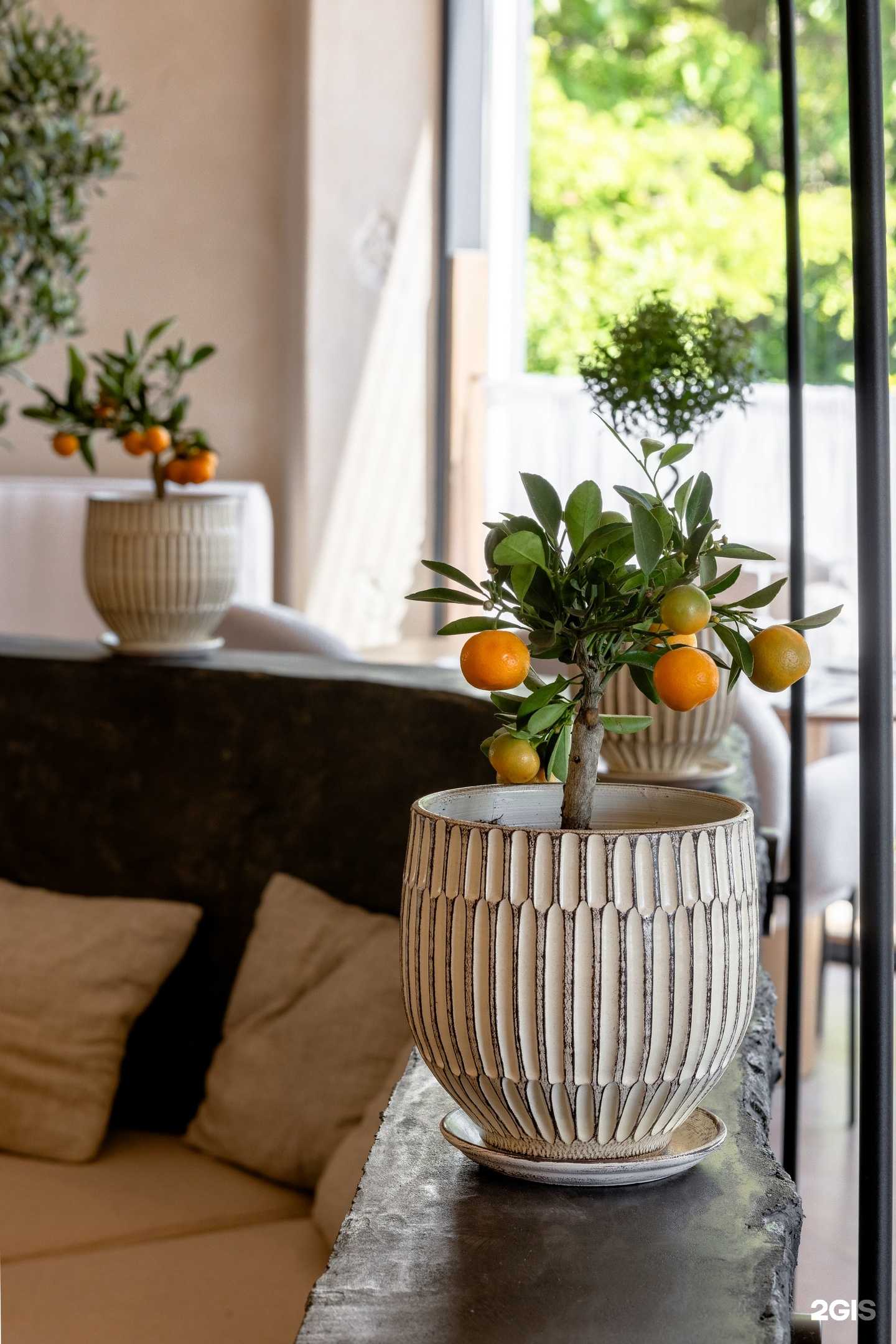 Отзывы на компанию Итэлия в г. Сочи c фото