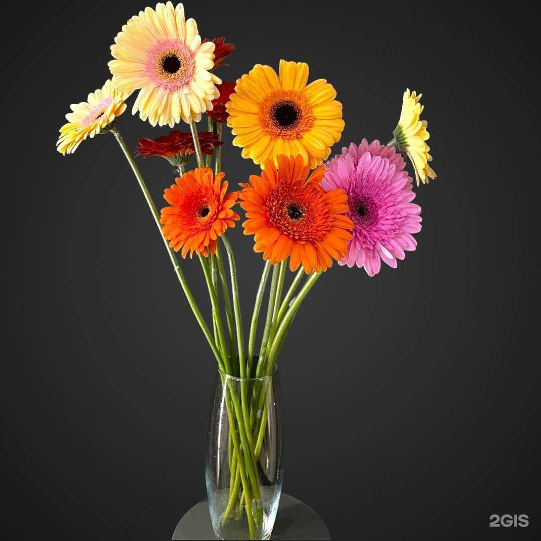 Отзывы на компанию Цветут цветы в Ростове-на-Дону c фото