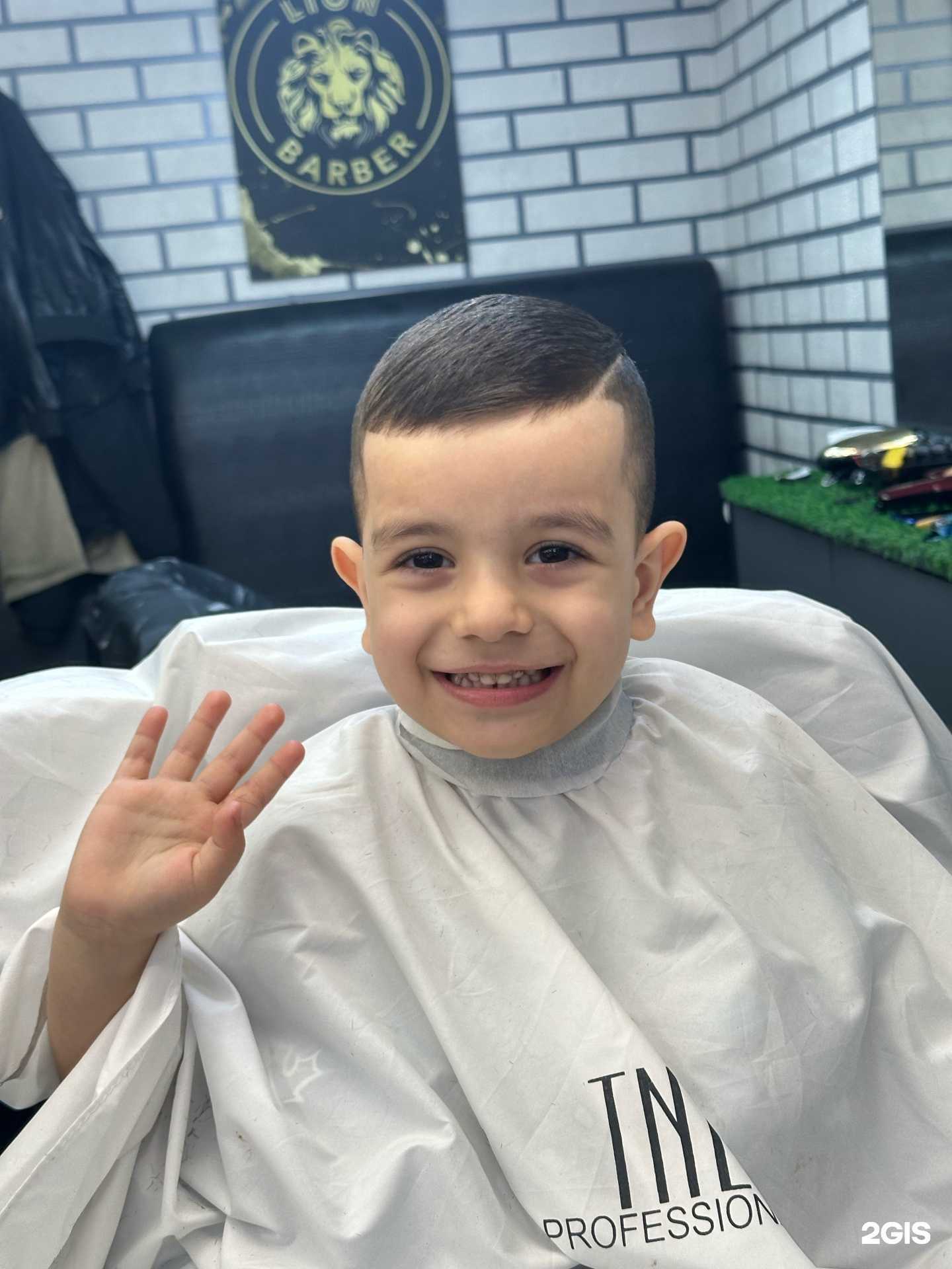 Отзывы на компанию Лион в Петропавловске-Камчатском c фото