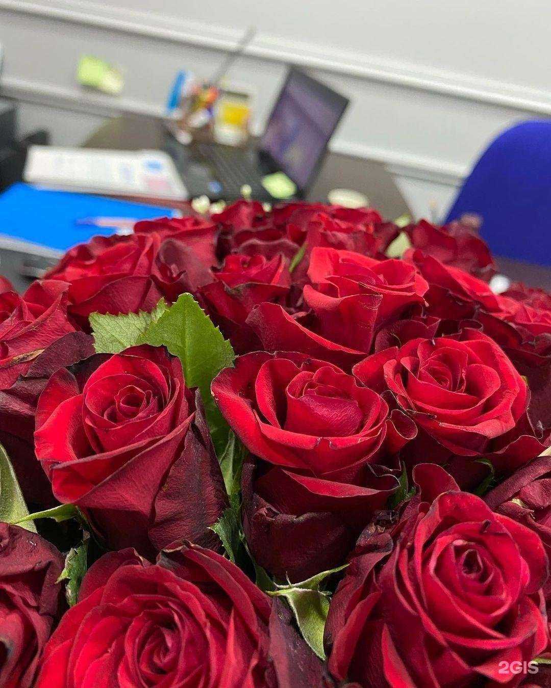 Отзывы на компанию Кабинет юриста в Махачкале c фото