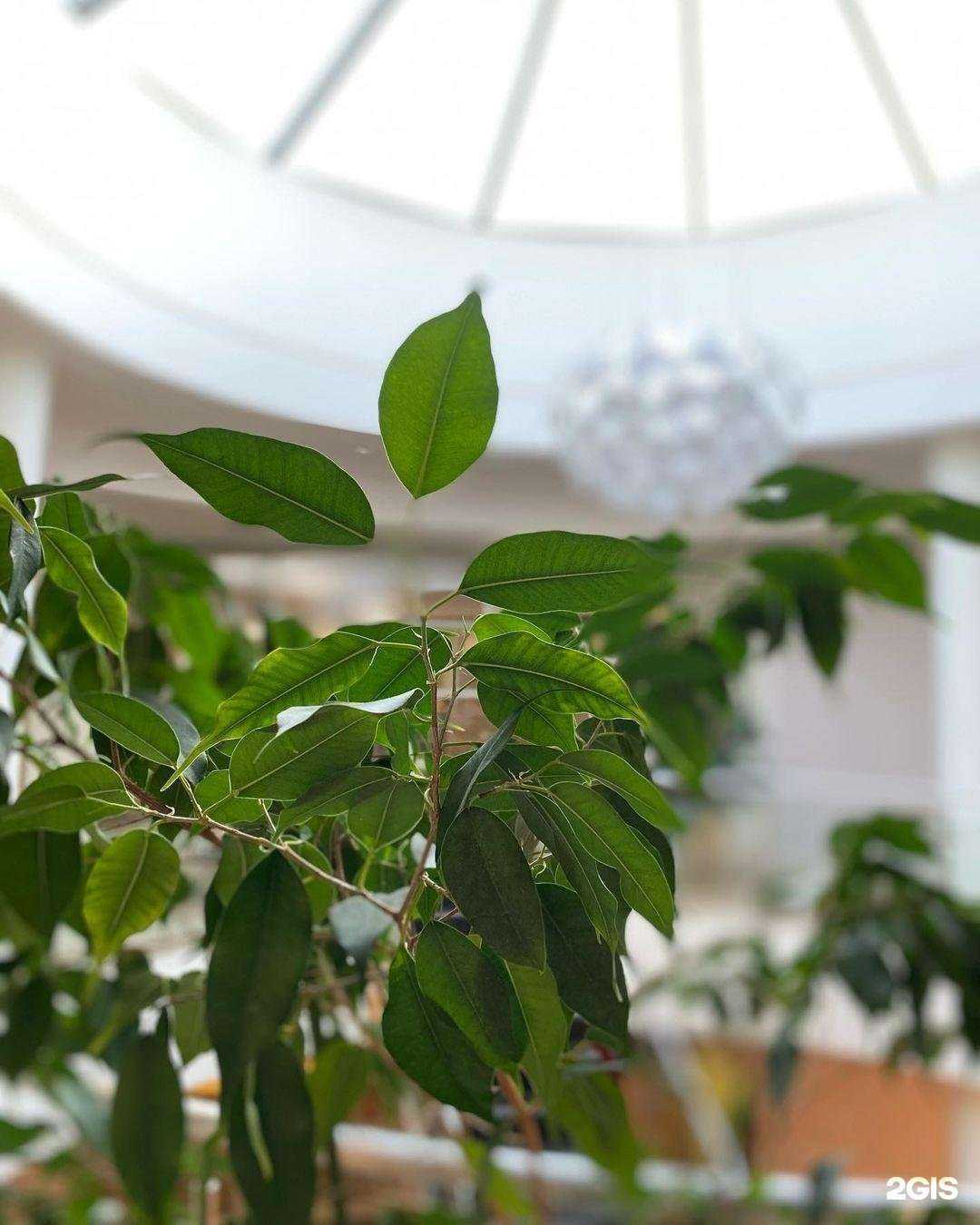 Отзывы на компанию Ридан в г. Ярославль c фото