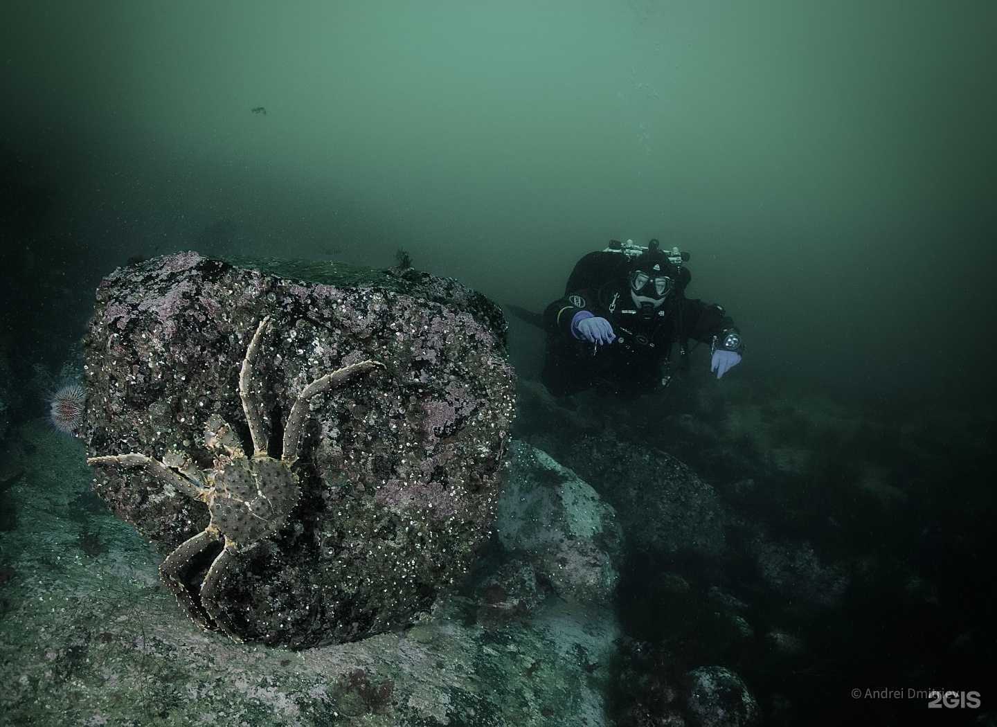 Отзывы на компанию Divexpert в Екатеринбурге c фото