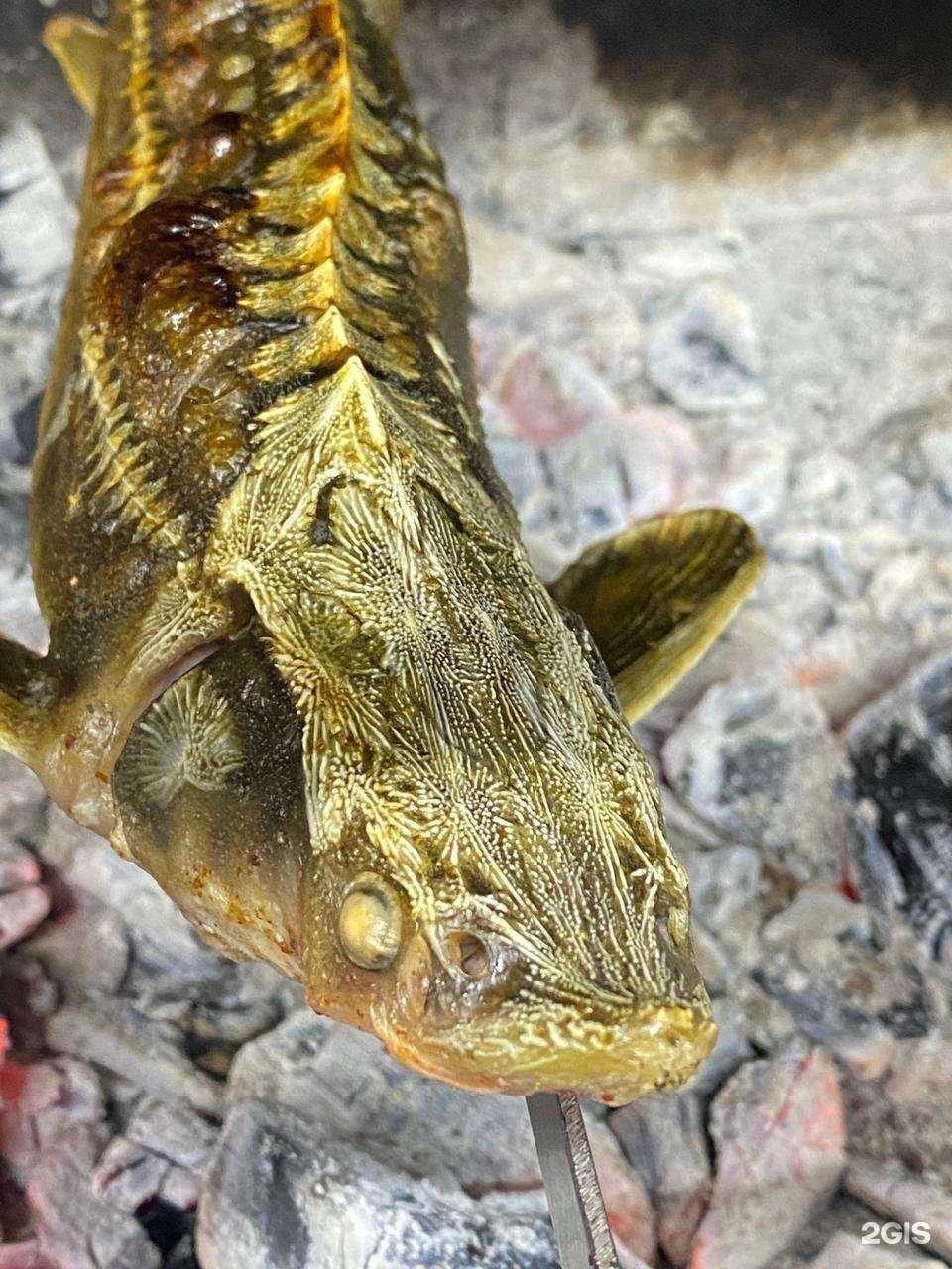 Отзывы на компанию Золотой телёнок в Омске c фото