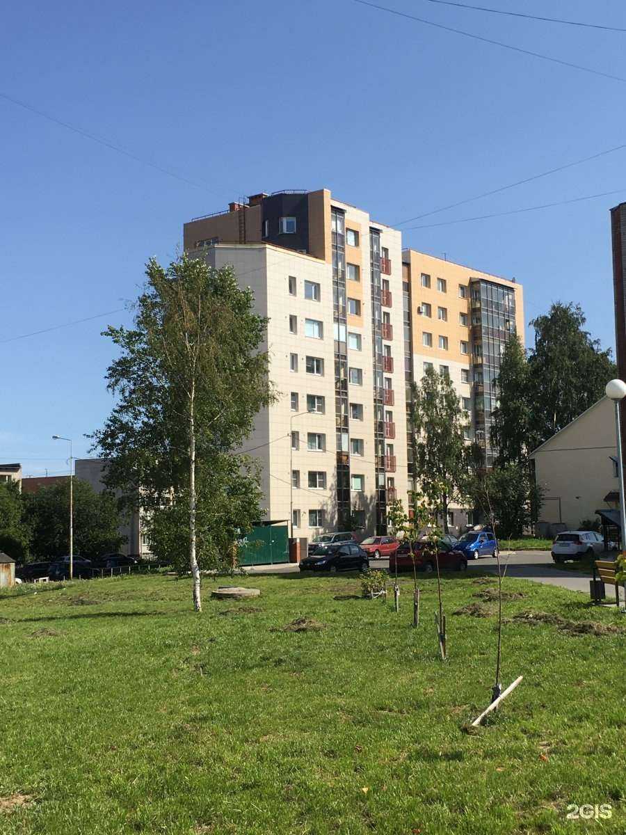 Отзывы на компанию Антарес в Петрозаводске c фото - фотография 2 из 2