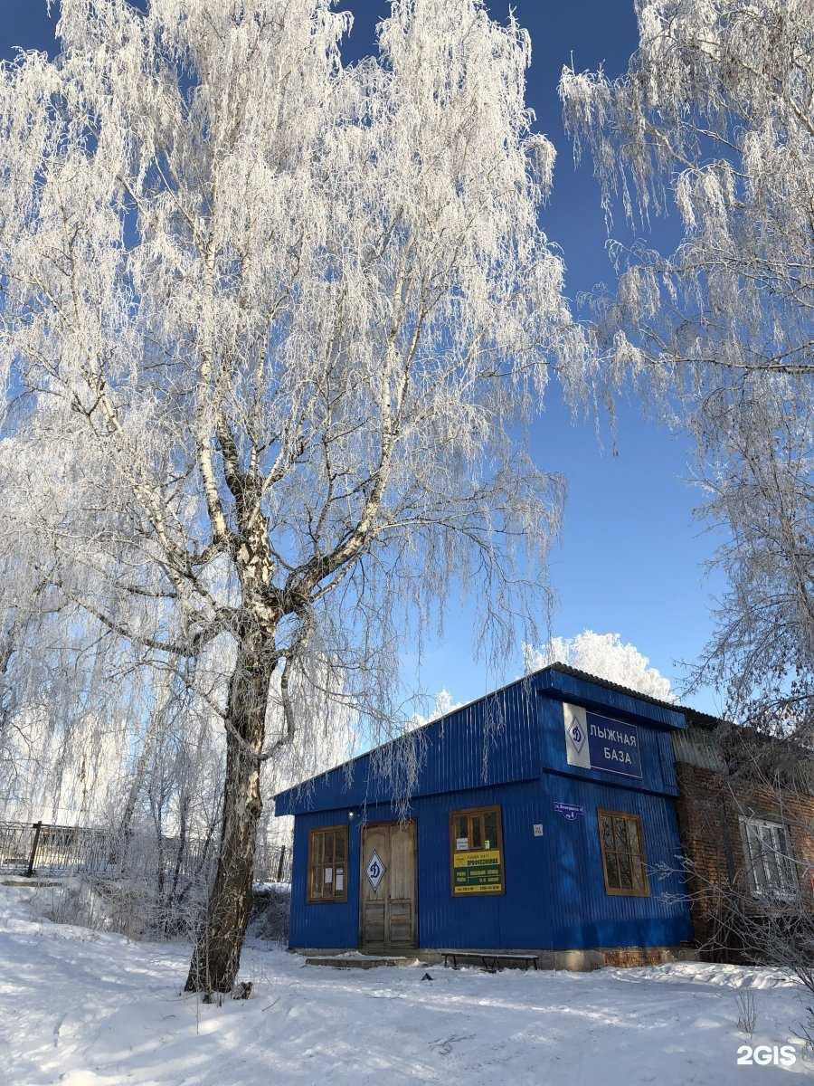 Отзывы на компанию Динамо в г. Красноярск c фото