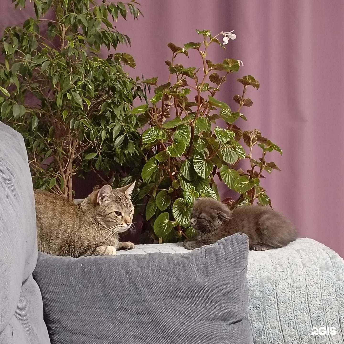 Отзывы на компанию Vita в г. Краснодар c фото