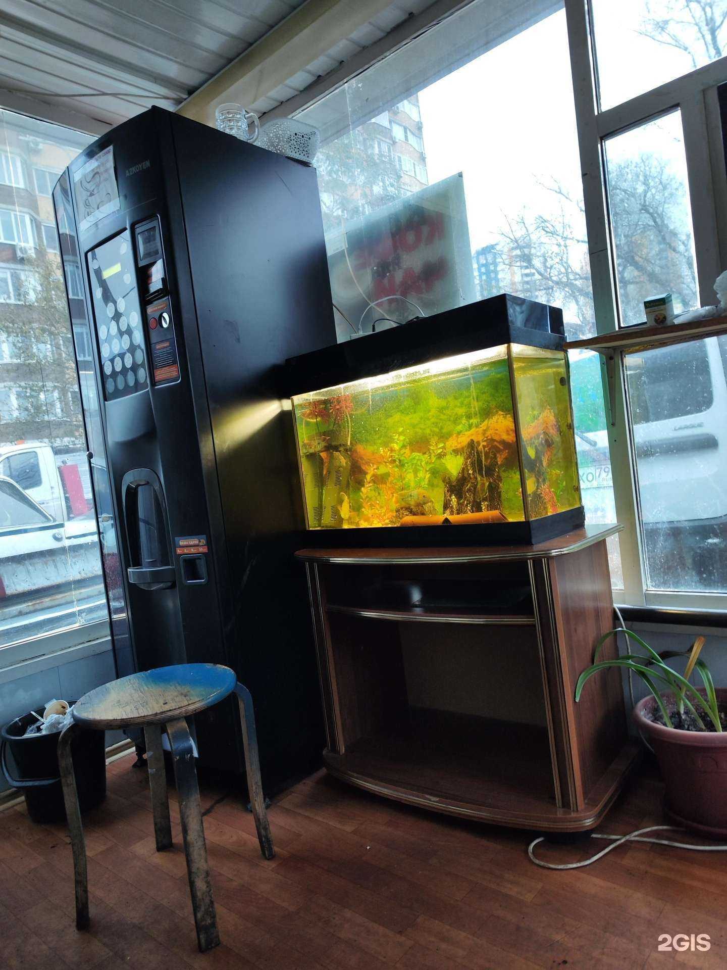 Отзывы на компанию Авто лекарь в Королёве c фото