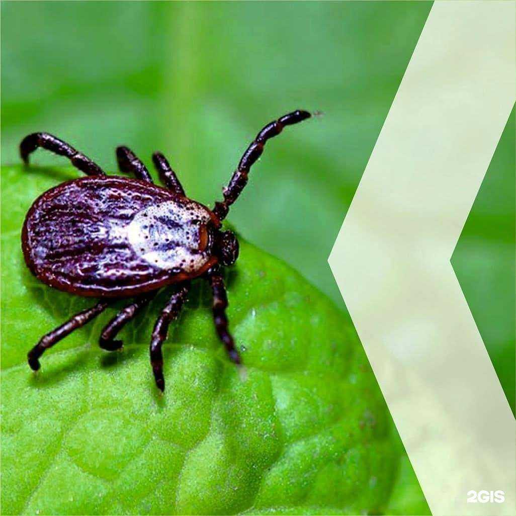 Отзывы на компанию Профтех в Омске c фото