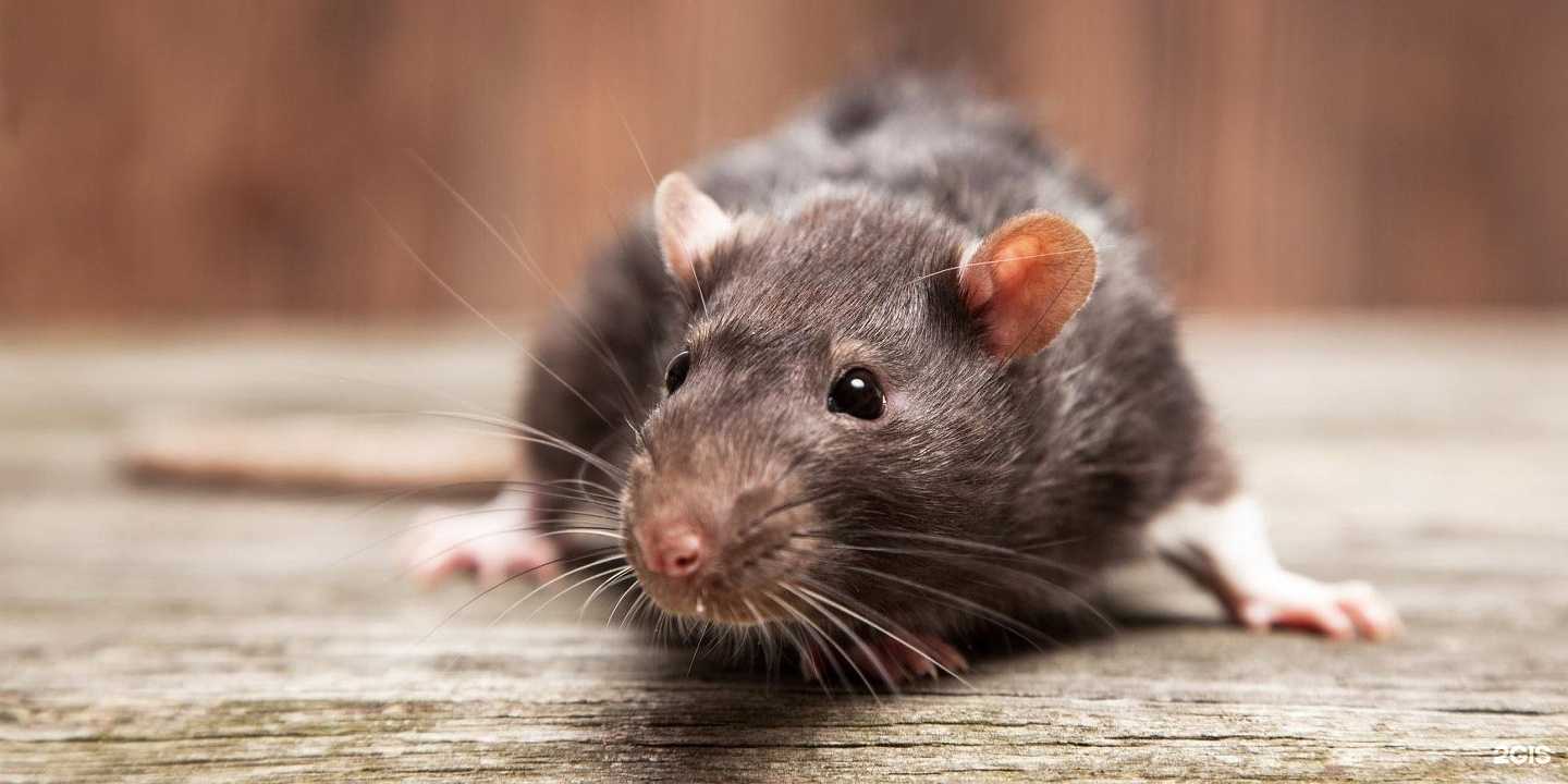 Отзывы на компанию Эковата Урал в г. Верхняя Пышма c фото