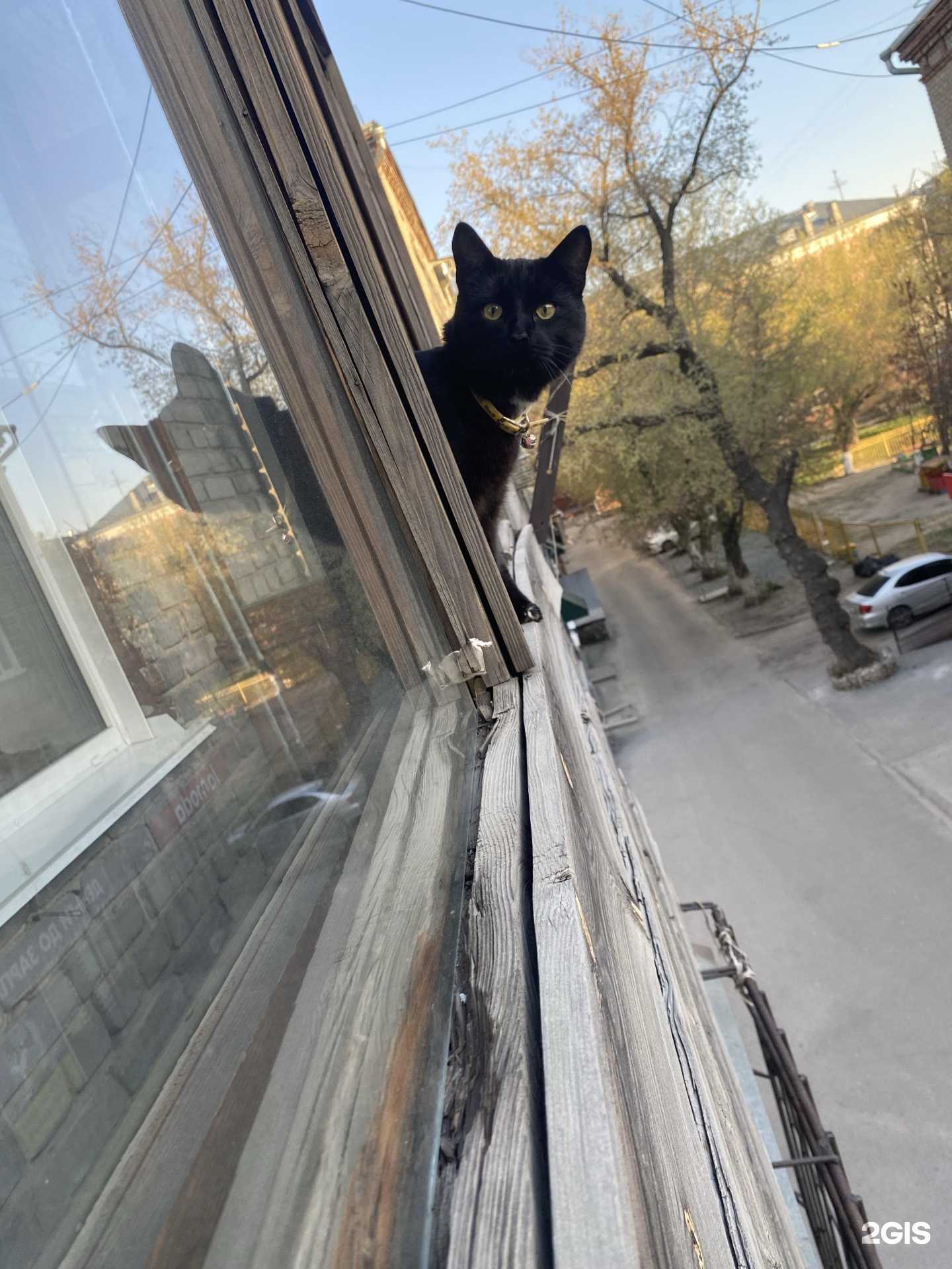 Отзывы на компанию AdressMan в Барнауле c фото - фотография 2 из 2