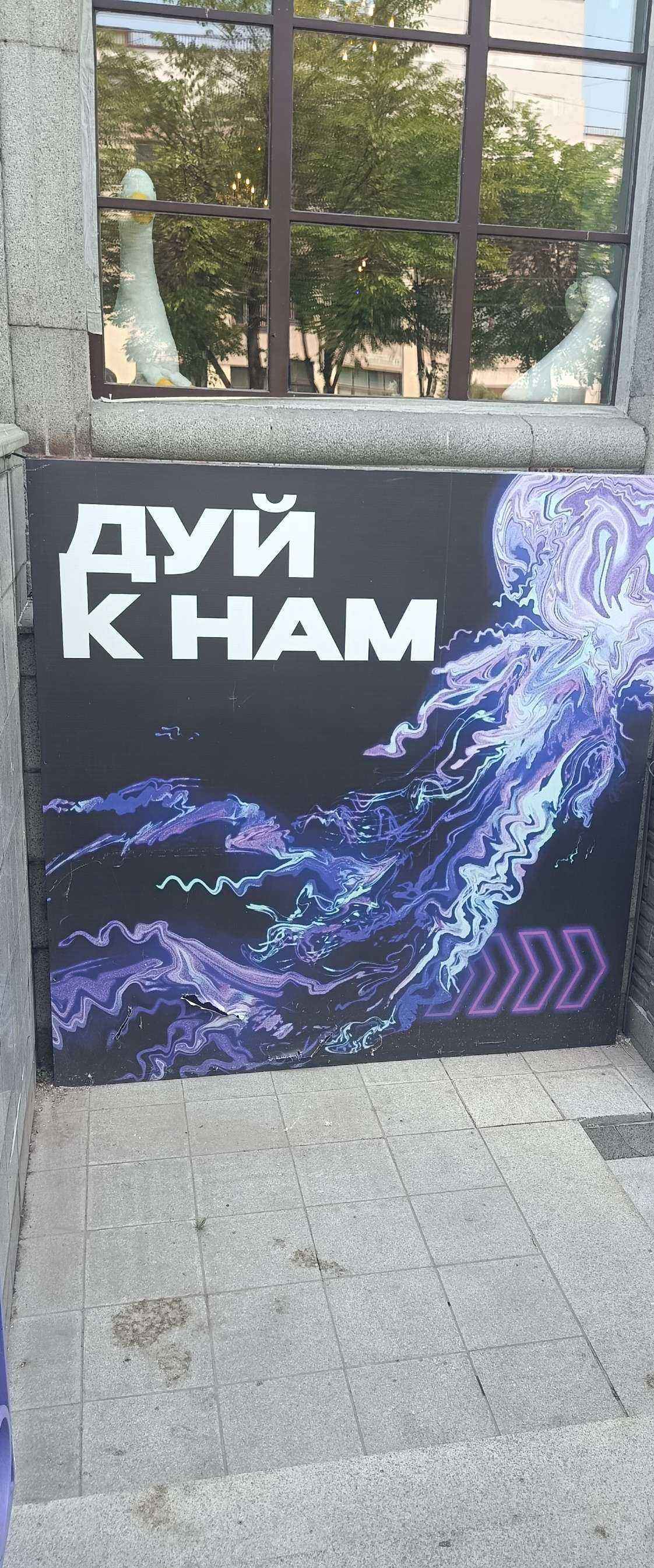 Отзывы на компанию Медуза в Хабаровске c фото